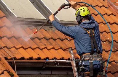 Démoussage et hydrofuge de toiture à Jongieux